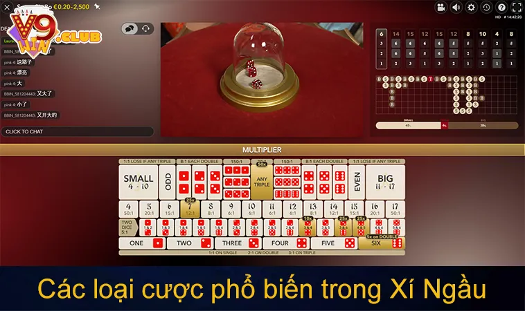 Cách Chơi Xí Ngầu Tại Casino Trực Tuyến Từ A Đến Z 2025 175 Các loại cược phổ biến trong Xí Ngầu